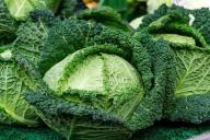 Урожая не будет: какие растения нельзя окучивать