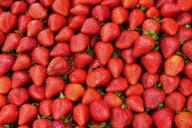 Без этой простой подкормки ваша клубника будет плохо плодоносить: о чём важно знать