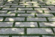 Как легко и играючи избавиться от раздражающей травы между тротуарными плитками: 2 способа 