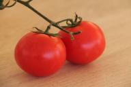 Что не любят томаты: 6 ошибок, которые допускают огородники при выращивании помидоров  