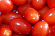 Хотите получать по 2 ведра помидоров с куста: секрет, о котором не расскажет сосед по даче