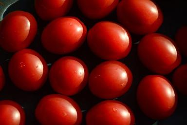3 секрета дачников, чтобы тепличные томаты были на вкус сладкими как мёд