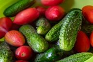 Урожай хрустящих огурчиков побьёт рекорды, если внести одну ложку подкормки 