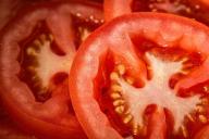 Почему помидоры выросли кислыми: не допускайте этих ошибок