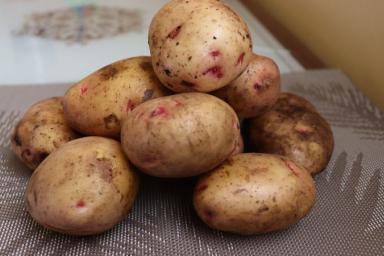 Чтобы урожай картошки не был скудным в этом сезоне, придётся придерживаться 5 правил