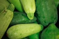 Что нужно для рекордного урожая кабачков в этом году: секретная подкормка, о которой не расскажет соседка 