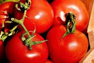 Помидоры