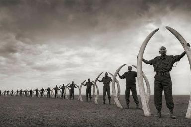 Что такое художественная фотография