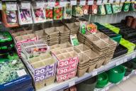 Семена Стаканчики