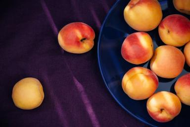 Выращивание абрикоса: правила, о которых нужно помнить дачникам