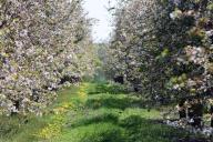 Частые ошибки садоводов и огородников: 4 вещи, которые вы делаете зря