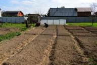 5 народных подкормок для начала сезона: проверены годами и опытом дачников