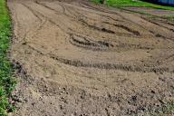 Бесплатное удобрение для огорода, которое заменит грузовик навоза: урожай будете собирать ведрами