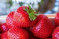 Какой уход нужен клубнике в мае для хорошего урожая: дачникам на заметку