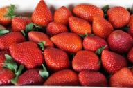 5 советов для рекордного урожая клубники в этом сезоне: несложные, но есть нюансы