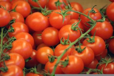 Как повысить сладость томатов: 5 хитростей для выращивания сладких овощей
