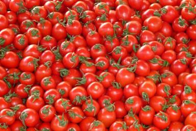 Диетолог объяснила, как проверить помидоры на нитраты