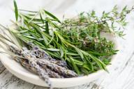 Травы на тарелке