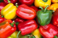 Как правильно и как часто нужно поливать перец: правило, которое нужно усвоить