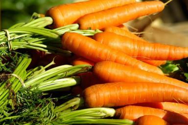 Выращиваем крупную морковь: учитывайте, что росло до моркови на этом участке, и следуйте рекомендациям 