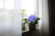 Как отстирать белую занавеску от желтизны и серости, чтобы она снова сияла как снег