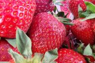 Ягоды клубники