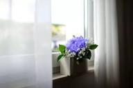 Тюль, шторы