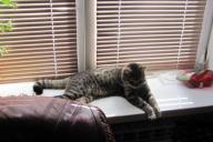 подоконник