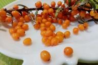 Облепиха на тарелке