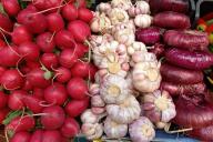 Редис Овощи