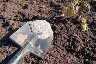 Огород, почва