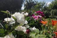 Цветник в саду