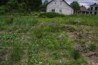 Огород, дача