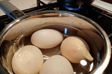 Яйца в кастрюле 