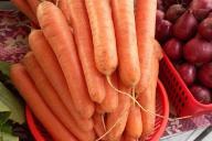 Морковь 