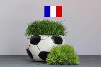 Футбол Франция