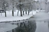 Деревья, зима