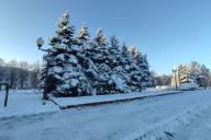 Заснеженные деревья