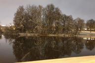 Деревья у воды