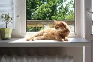 Подоконник