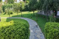 Куры на траве