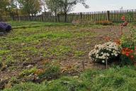 грядки