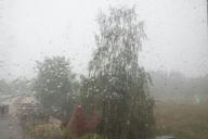 Природа, деревья