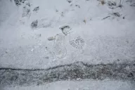 Следы на снегу