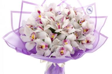 Орхидея в подарок