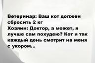 Свежие анекдоты и юмор за 19 Мая 2025