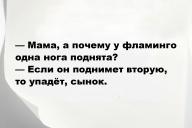 Смешные анекдоты и юмор за 19 Мая 2025