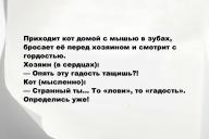 Свежие анекдоты и юмор за 26 Мая 2025