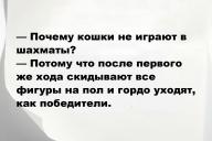 Свежие анекдоты и юмор за 4 Июня 2025