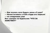 Свежие анекдоты и юмор за 5 Июня 2025